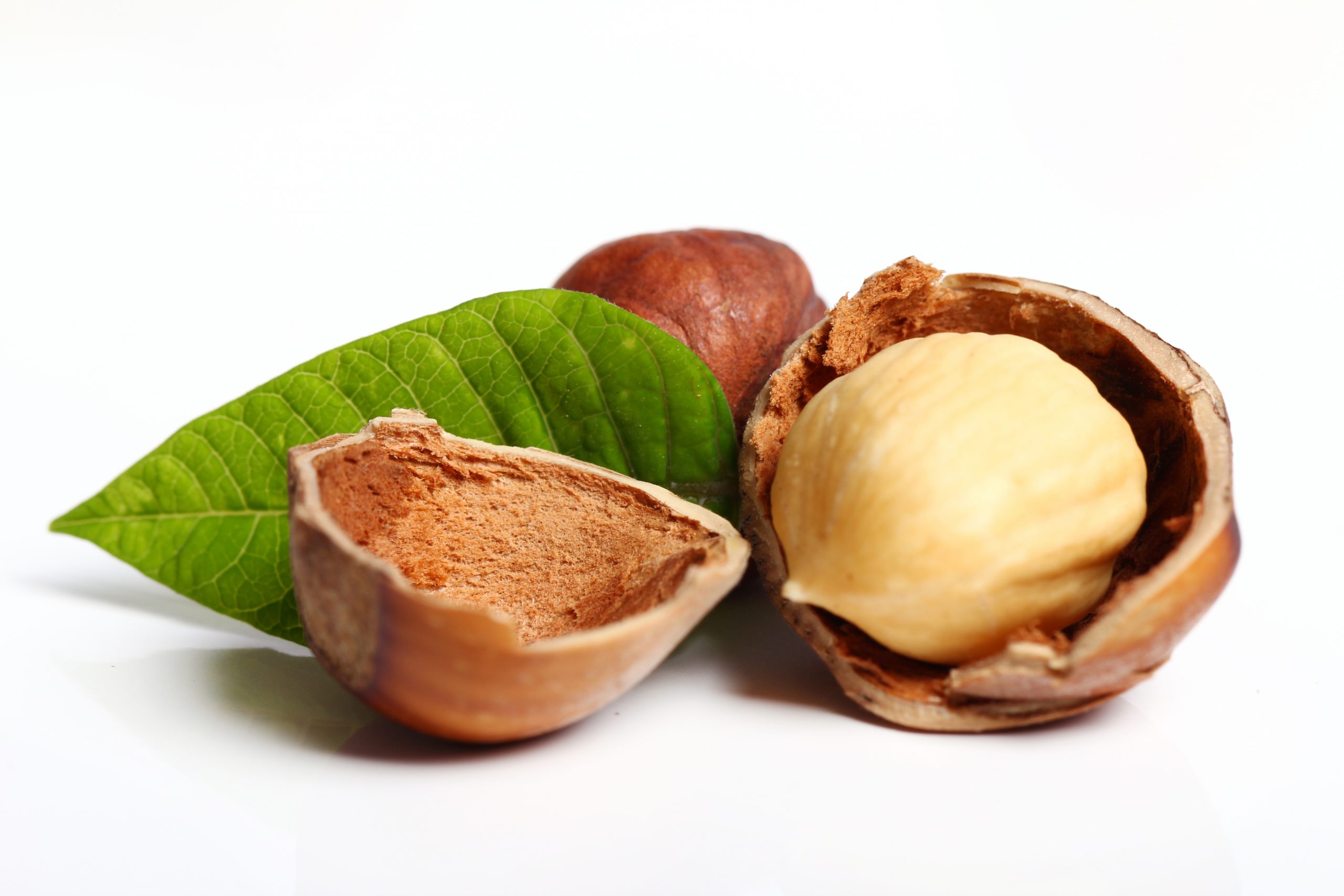Chemical, mechanical and sensory monitoring of hot air- and infraredroasted hazelnuts (Corylus avellana L.) during nine months of storage