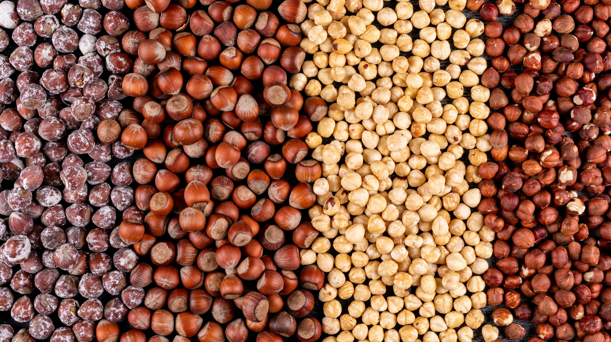 Static Hot Air and Infrared Rays Roasting are Efficient Methods for Aflatoxin Decontamination on Hazelnuts