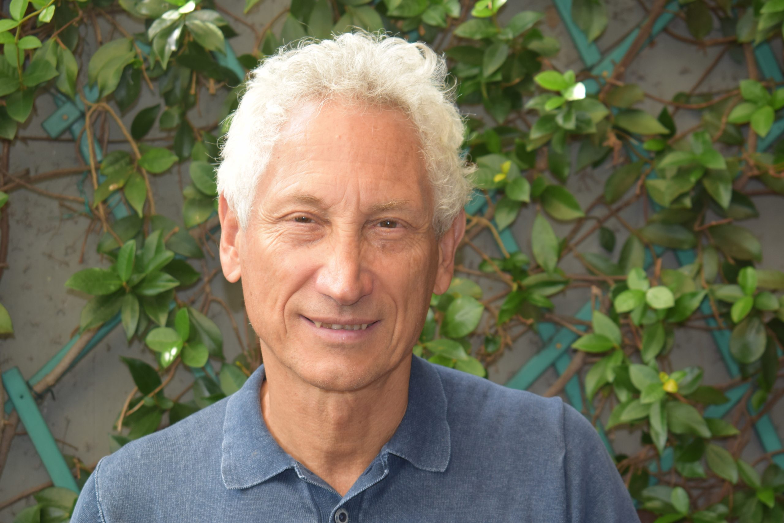 immagne R. Marchesi